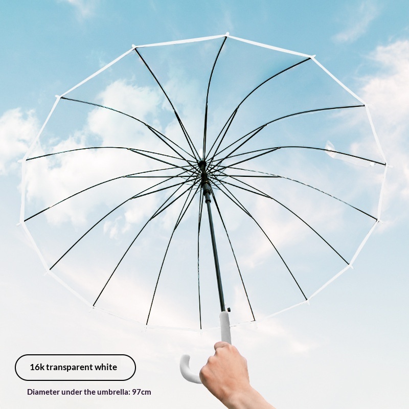 زوج واحد من مظلات المطر الشفاف - مراجعة Golf Umbrella Large وسعره